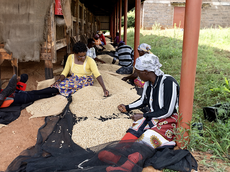 Kenya Kanjuri Meru (4)