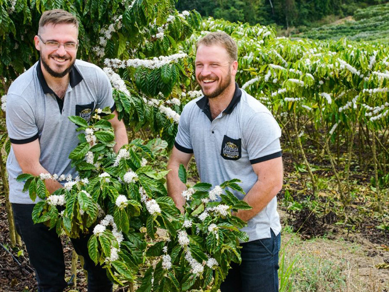 Brasil Conilon Fazenda Venturim - la Tosteria (33)