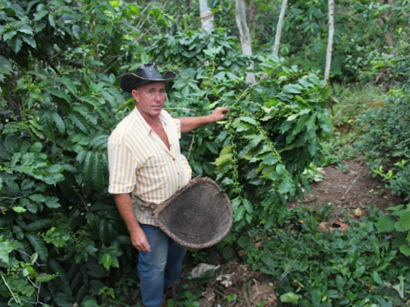 Cuba Sierra Maestra - la Tosteria (7)