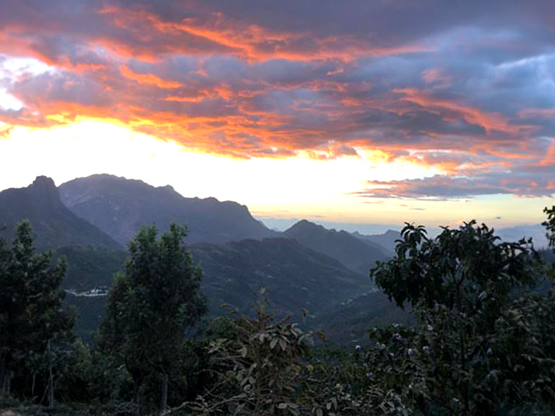 Guatemala Huehuetenango Finca Isnul - la Tosteria (7)