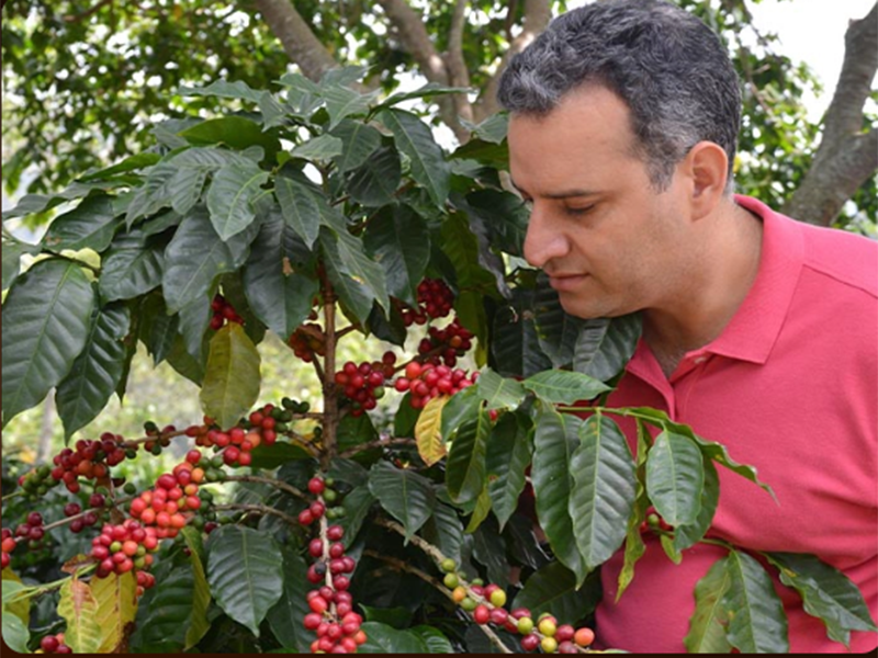 Santo Domingo Finca Ramirez - la Tosteria (21)