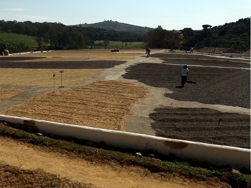 Santos Fazenda Recanto - la Tosteria (4)