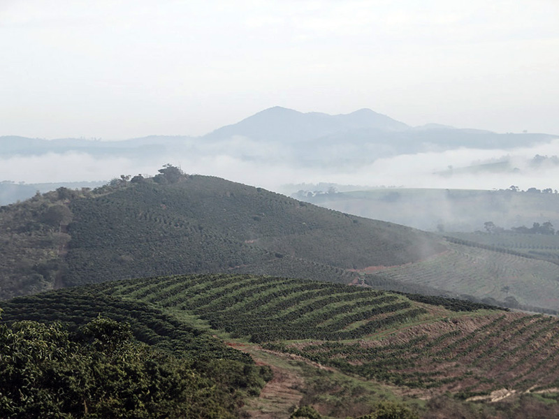 Santos Fazenda Recanto - la Tosteria (9)