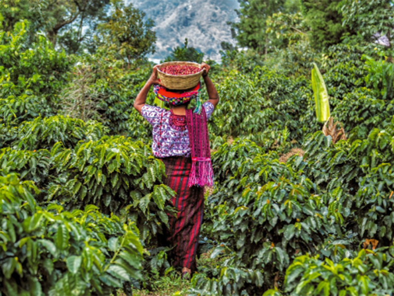 Guatemala Huehuetenango varie (6)